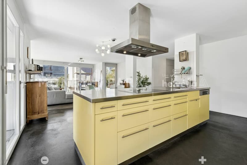 Grand appartement lumineux de 6.5-pièces (7)