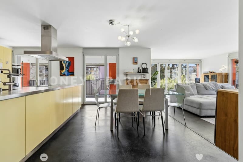 Grand appartement lumineux de 6.5-pièces (6)