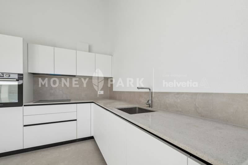 Appartements neufs de 3.5 pièces (2)