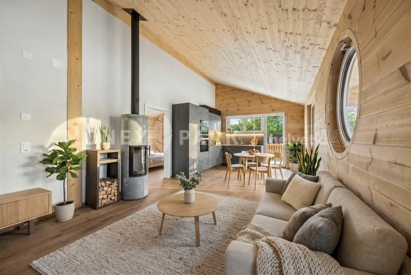Freistehendes 4.5-Zimmer-Einfamilienhaus in hochwertiger Holzbauweise (1)