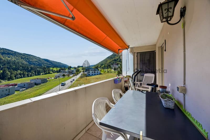 Bel appartement de 5.5 pièces (3)
