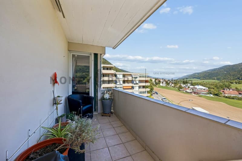 Bel appartement de 5.5 pièces (4)
