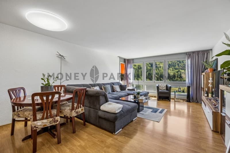 Bel appartement de 5.5 pièces (5)