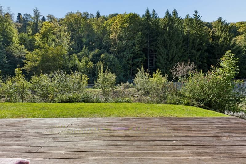 Sonnige 5.5-Zimmer-Doppelhaushälfte direkt am Wildnispark Langenberg (7)