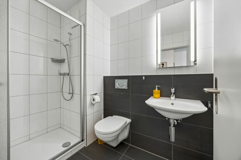 Moderne 4.5-Zimmer-Wohnung mit schöner Aussicht ins Grüne (6)