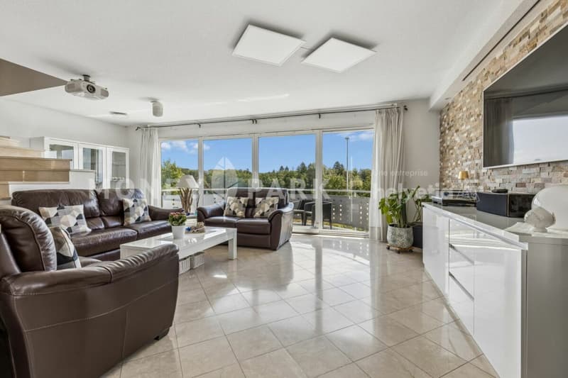 Villa familiale avec piscine à Boussens (1)