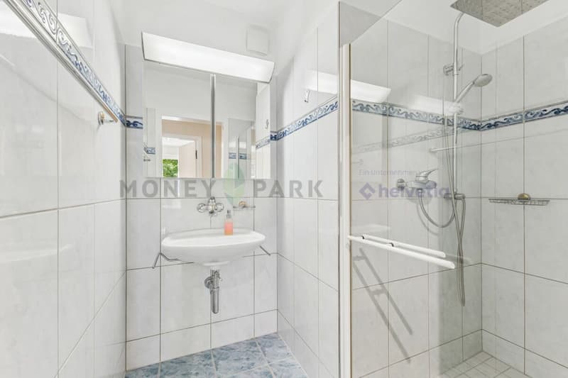 5.5 Zimmer-Eigentumswohnung mit viel Potenzial (6)