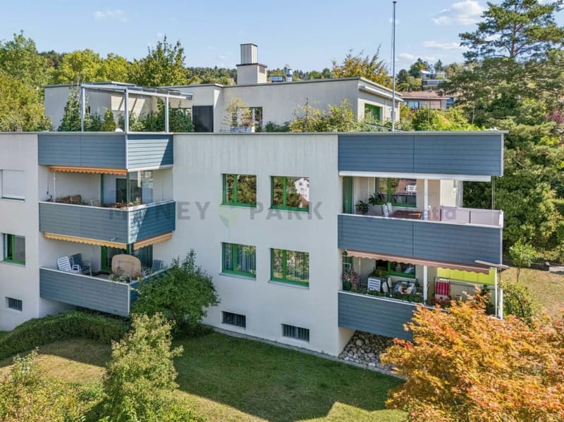 5.5 Zimmer-Eigentumswohnung mit viel Potenzial (1)