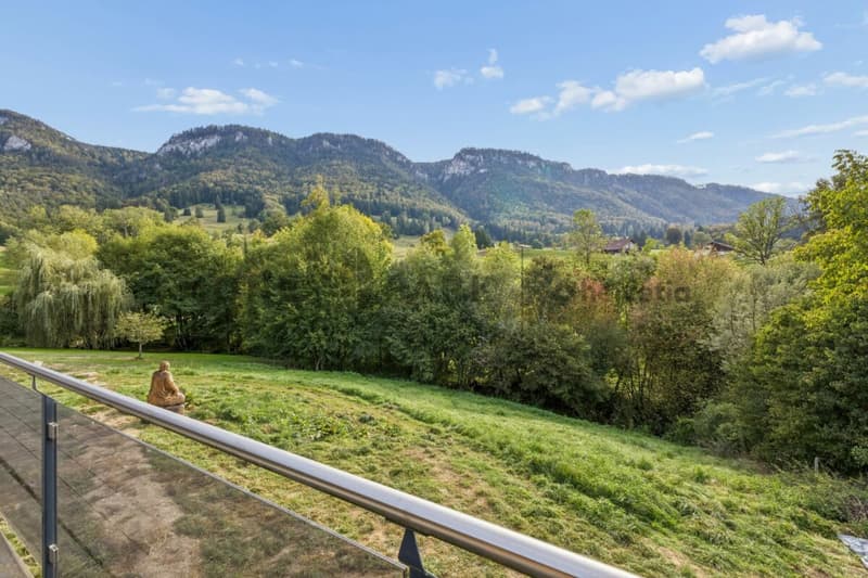Une superbe villa de type méditerranéen, deux lieux d'habitation copie (11)