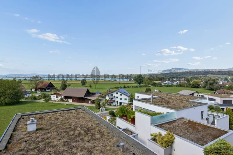 4.5- (5.5-)Zimmer-Terrassenwohnung am Zürichsee mit 180° Seesicht (1)