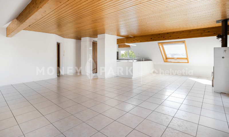 Appartement 2.5 pièces à rénover (3)