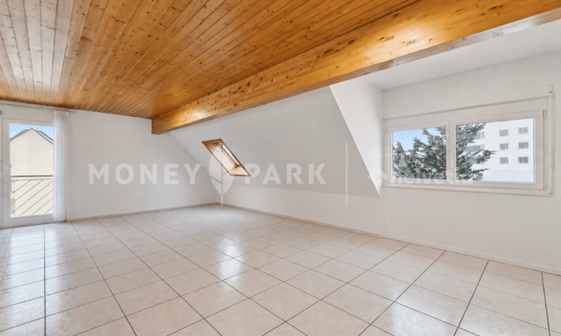 Appartement 2.5 pièces à rénover (10)
