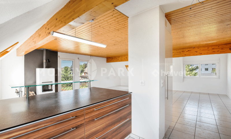 Appartement 2.5 pièces à rénover (13)