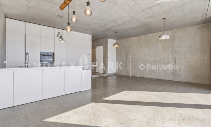 Maison d'architecte de 145m2 | Minergie | Rooftop | Vue sur le lac (3)