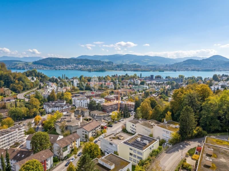 Stilvolles Wohnen - Hochwertig sanierte 4.5-Zimmer-Wohnung in Luzern (11)