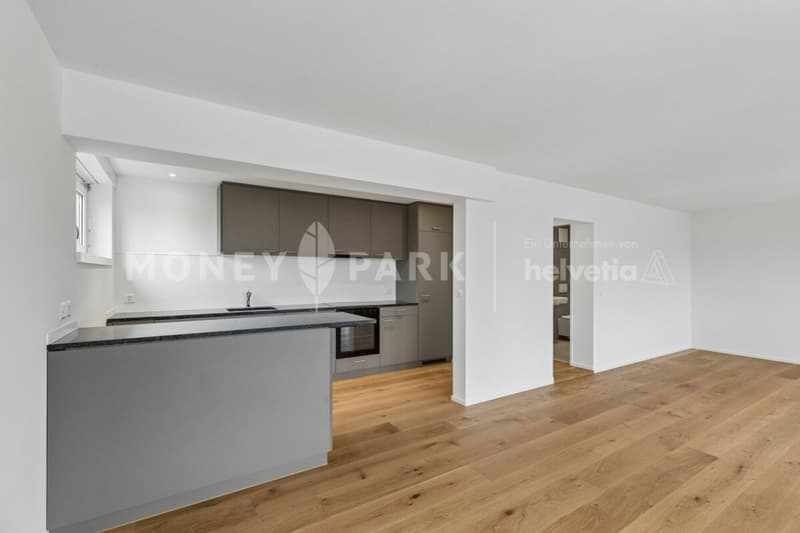 Stilvolles Wohnen - Hochwertig sanierte 4.5-Zimmer-Wohnung in Luzern (4)