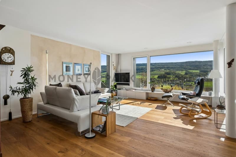 Moderne 4.5-Zimmer-Terrassenwohnung mit traumhaftem Weitblick (4)
