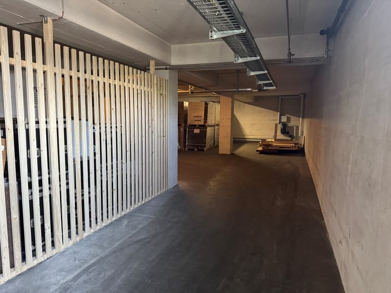 Espace commercial polyvalent dans le centre d'affaires Hohle Gasse Immensee (4)