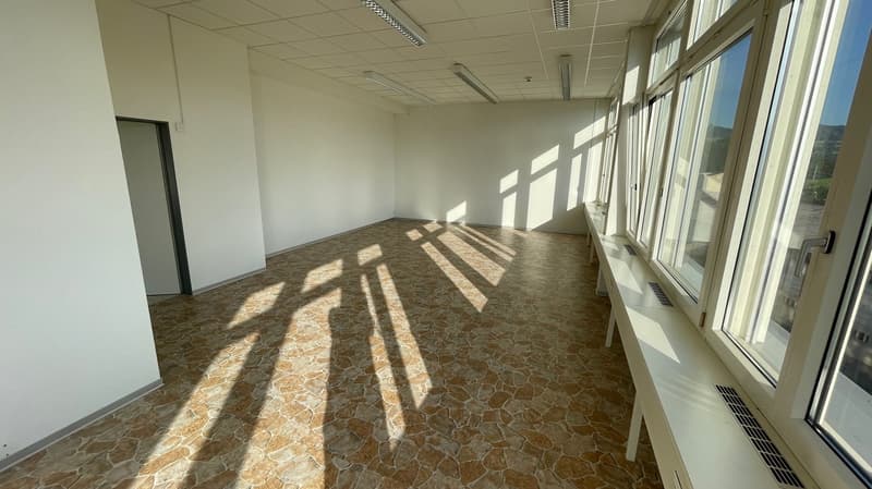 empty room with white walls, large windows, shadows, tiled floor, white ceiling, ceiling lights