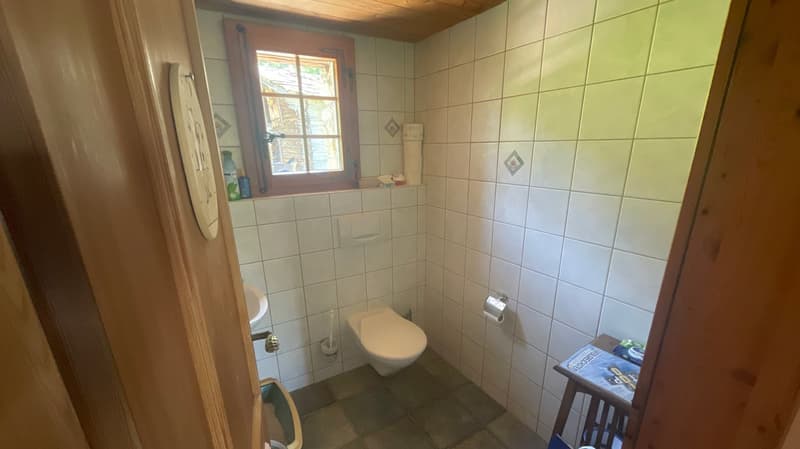 Chalet Bodmen (11)