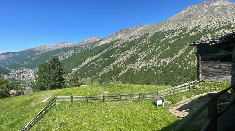 Chalet Bodmen (13)