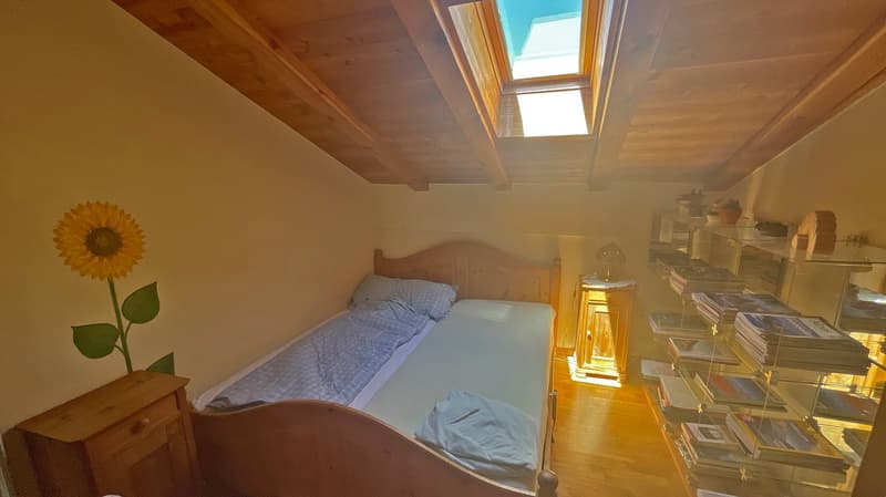 Chalet Bodmen (7)