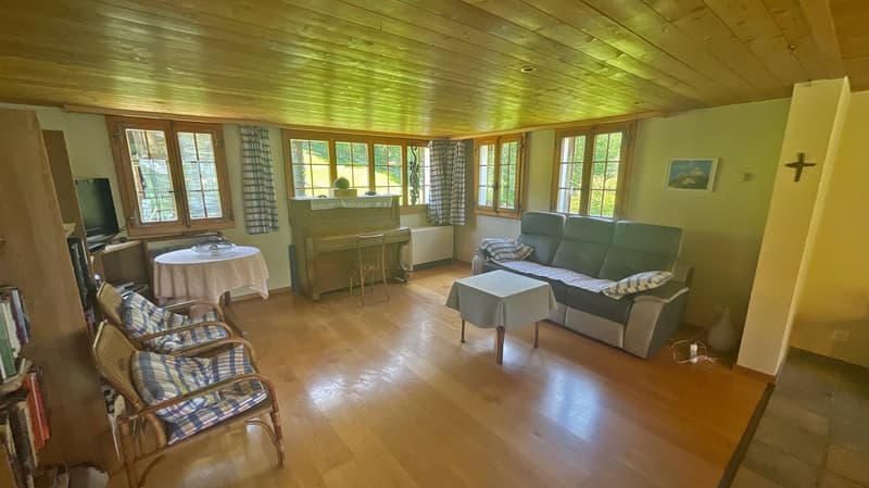 Chalet Bodmen (5)