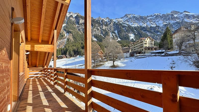 Penthouse Silberhorn (24)