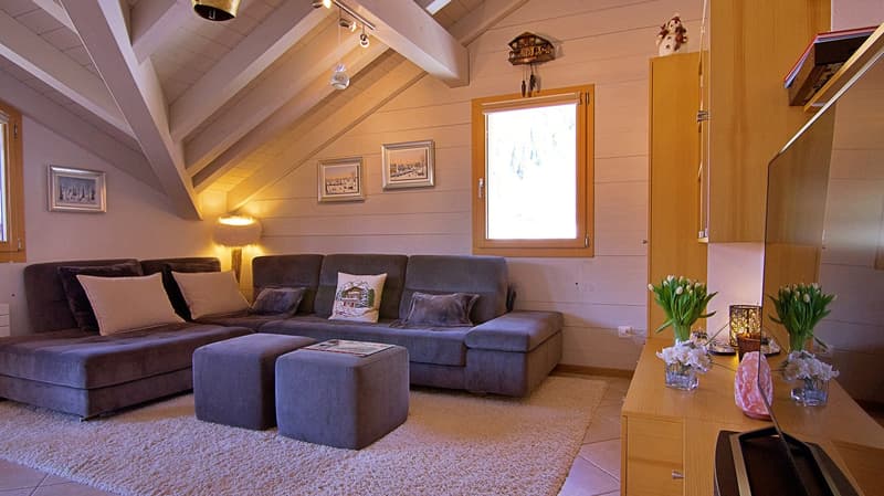 Penthouse Silberhorn (9)
