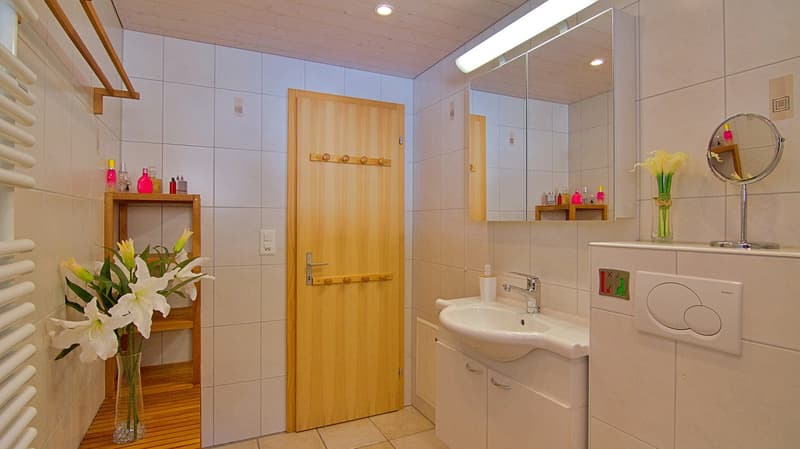 Penthouse Silberhorn (20)