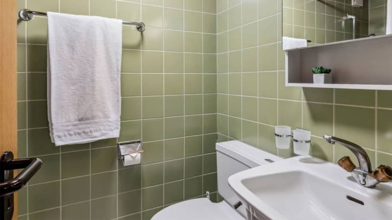 Bathroom with green tiles, white sink, white toilet, white towel, small plant on the shelf