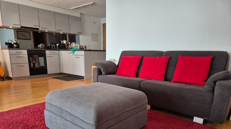 Living room with a gray sofa, red pillows, gray ottoman, red carpet, wooden floor, kitchen with white cabinets, black oven, and a picture frame on the wall