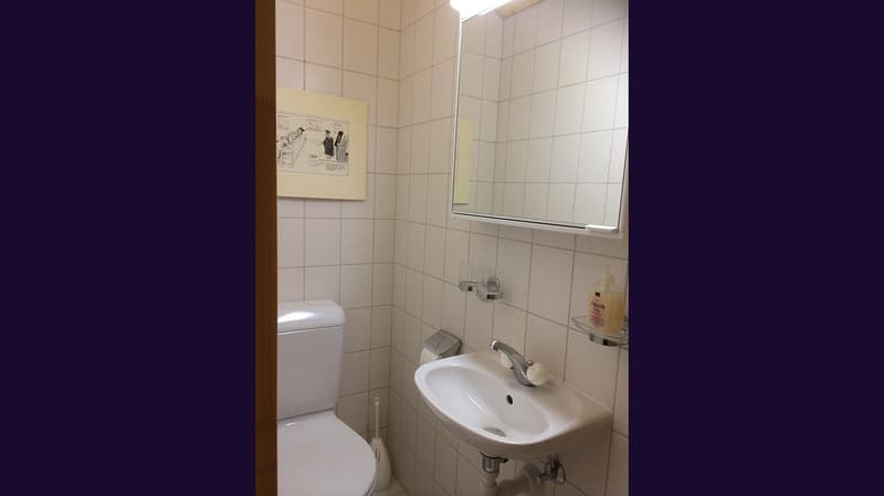white tiled walls, white toilet, white sink, mirror, picture frame, toilet paper holder, soap dispenser
