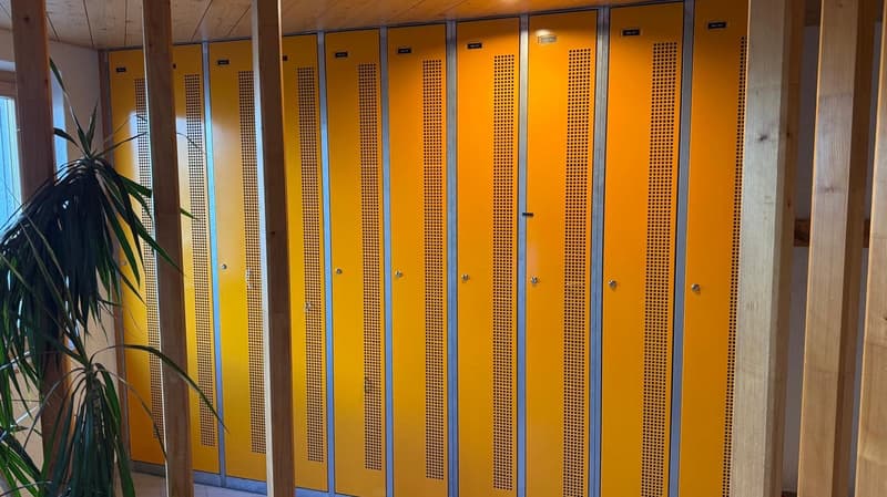 Yellow lockers, wooden pillars, white ceiling, plant