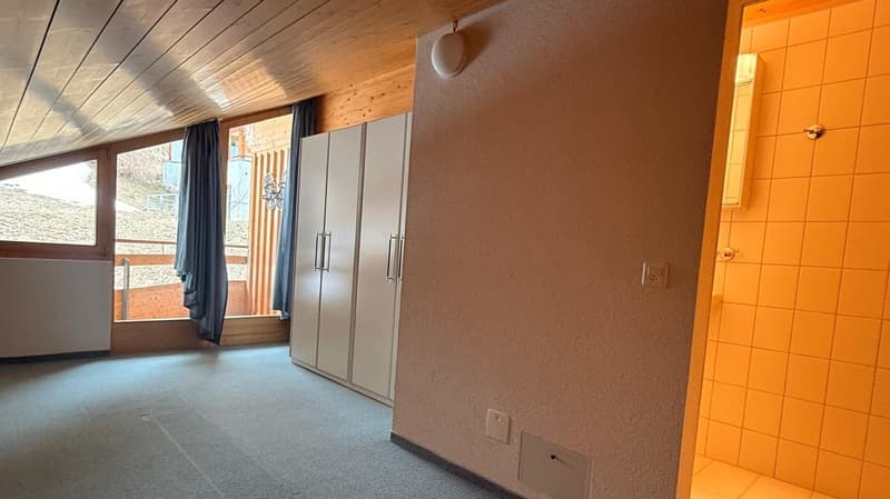 empty room, carpeted floor, large window, wooden ceiling, white wardrobe, tiled shower