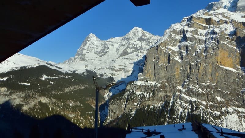 Snowy mountains, rocky cliffs, pine trees, clear blue sky