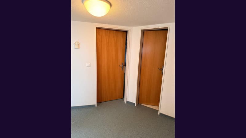 Empty room with two wooden doors, white walls, gray carpet, and a ceiling light