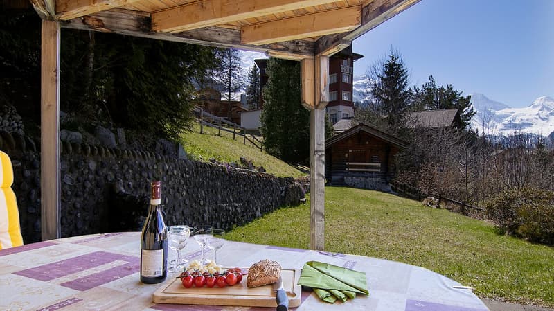 Table with wine, food, and glasses, wooden pergola, grassy hill, mountains in the background