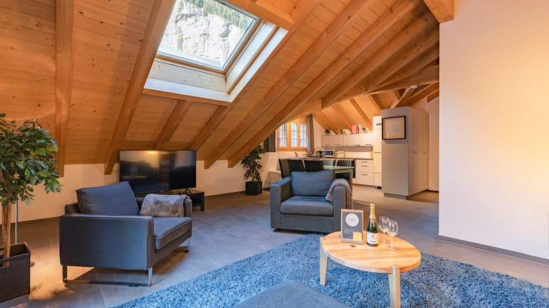 Luterbach 208W (5)