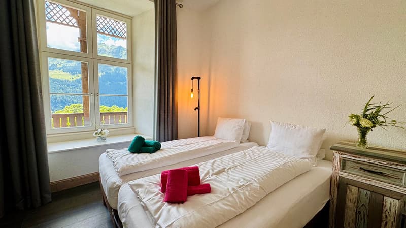 Chalet delle Alpi (8)