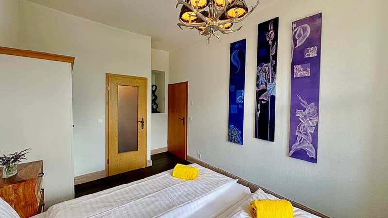 Chalet delle Alpi (6)