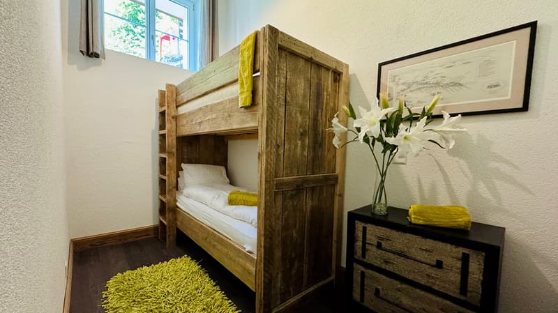Chalet delle Alpi (10)