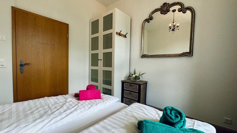 Chalet delle Alpi (9)