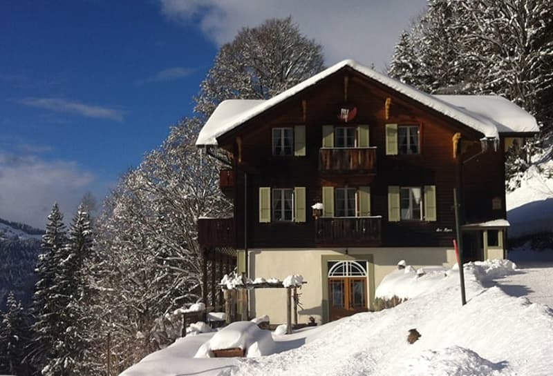Chalet delle Alpi (1)