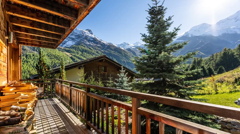 Chalet Lapin Blanc (20)