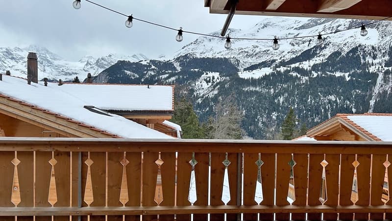 Eisblume (15)