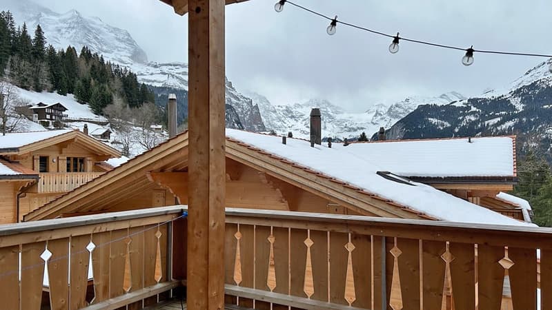 Eisblume (16)