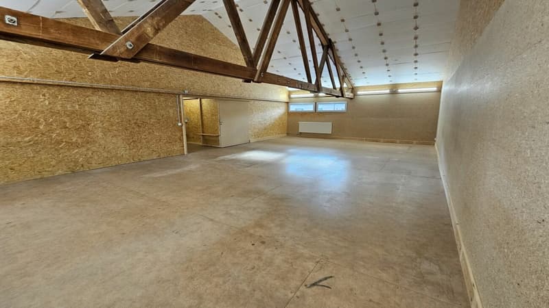 Local hobby / professionnel / stockage avec plafond surélevé à louer (2)