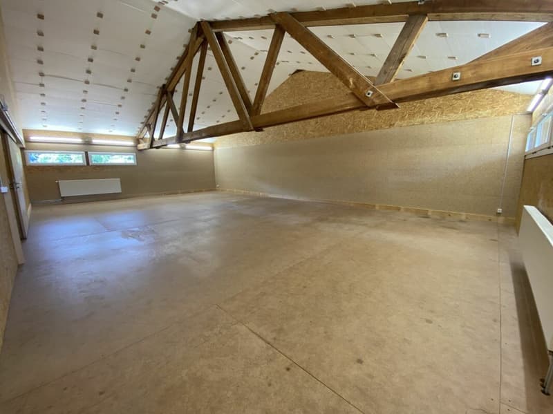 Local hobby / professionnel / stockage avec plafond surélevé à louer (3)