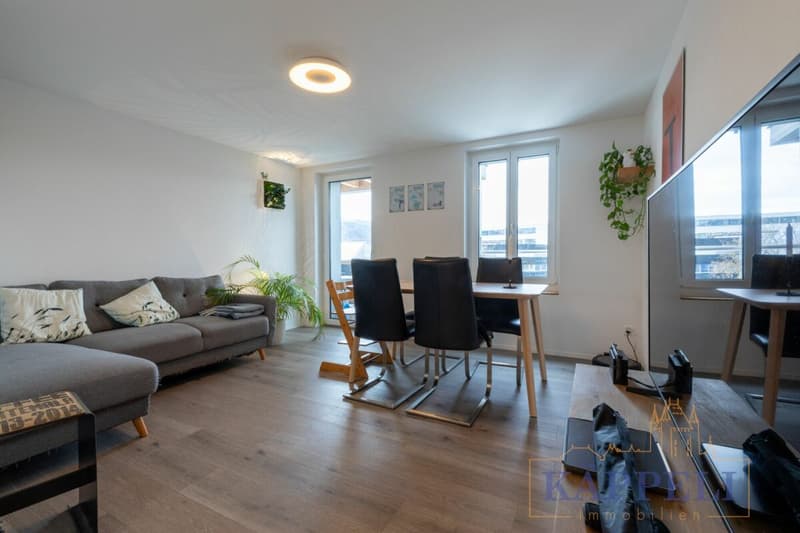 3.5 Zimmer Wohnung an der Rütlistrasse in Thun (1)